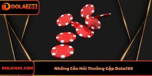 Những Câu Hỏi Thường Gặp Dola789 - Giải Quyết Các Vấn Đề