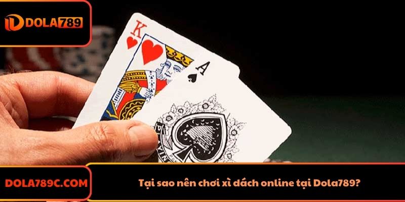 Tại sao nên chơi xì dách online tại Dola789?