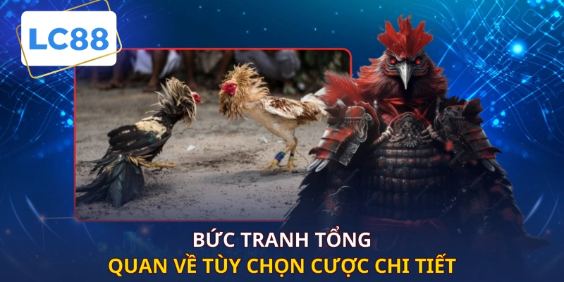 Bức tranh tổng quan về tùy chọn cược chi tiết