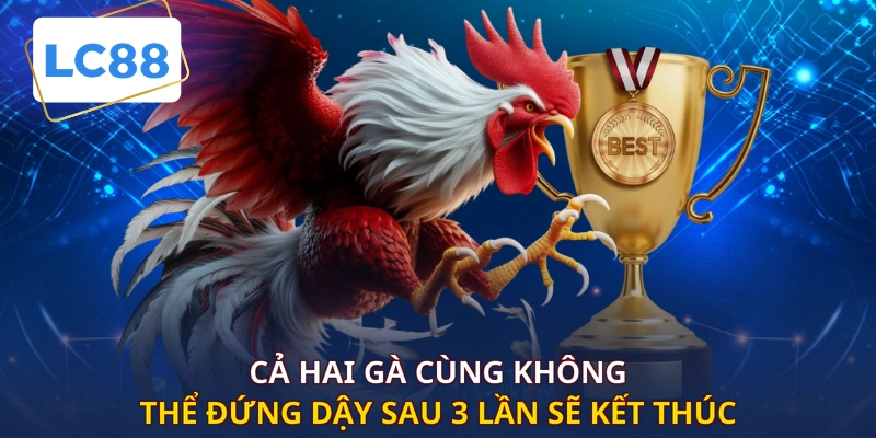Cả hai gà cùng không thể đứng dậy sau 3 lần sẽ kết thúc