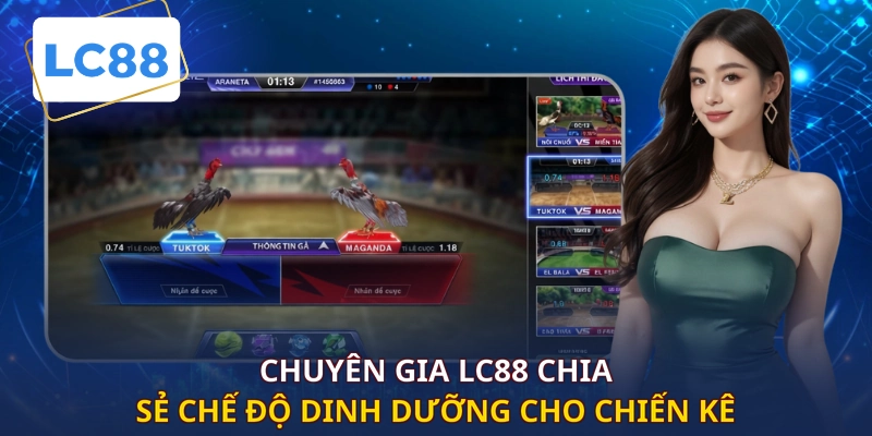 Chuyên gia LC88 chia sẻ chế độ dinh dưỡng cho chiến kê