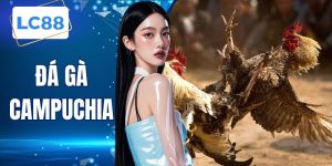 Đá Gà Campuchia - Cách Chơi Chi Tiết Cho Bạn Năm 2026