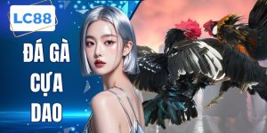 Đá Gà Cựa Dao LC88 - Luật Và 2 Kinh Nghiệm Đặt Cược Thắng