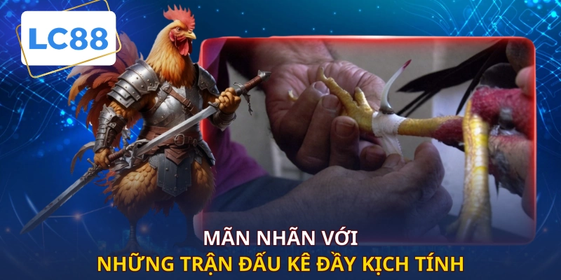 Mãn nhãn với những trận đấu kê đầy kịch tính