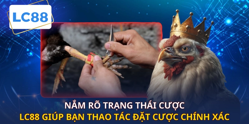 Nắm rõ trạng thái cược LC88 giúp bạn thao tác đặt cược chính xác