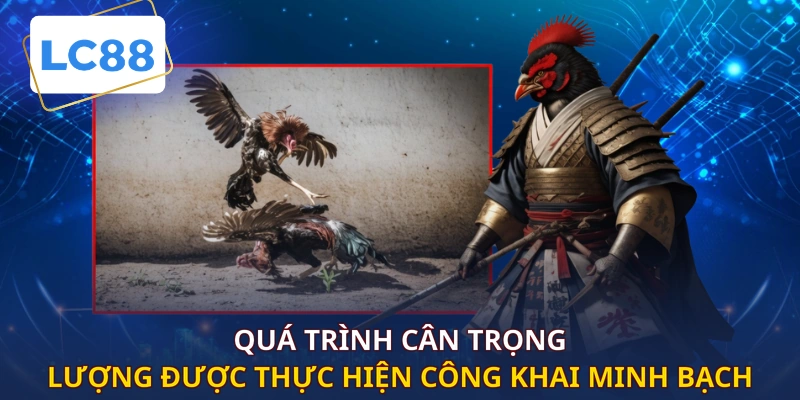 Quá trình cân trọng lượng được thực hiện công khai minh bạch