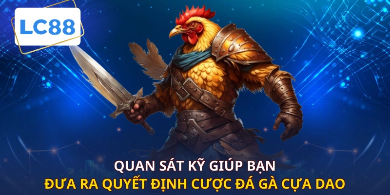 Quan sát kỹ giúp bạn đưa ra quyết định cược đá gà cựa dao