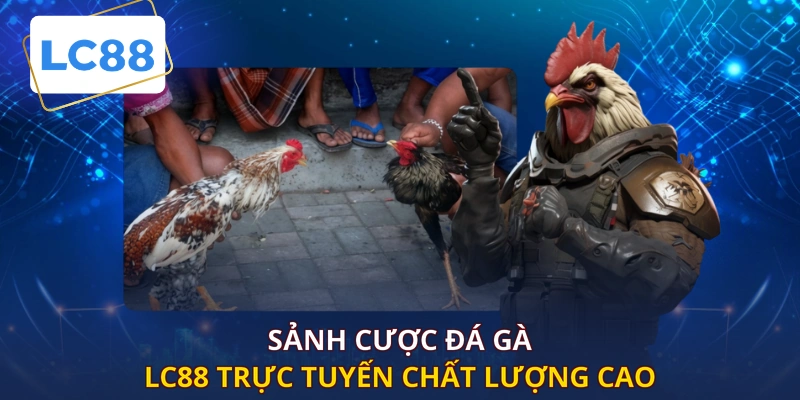 Sảnh cược đá gà LC88 trực tuyến chất lượng cao