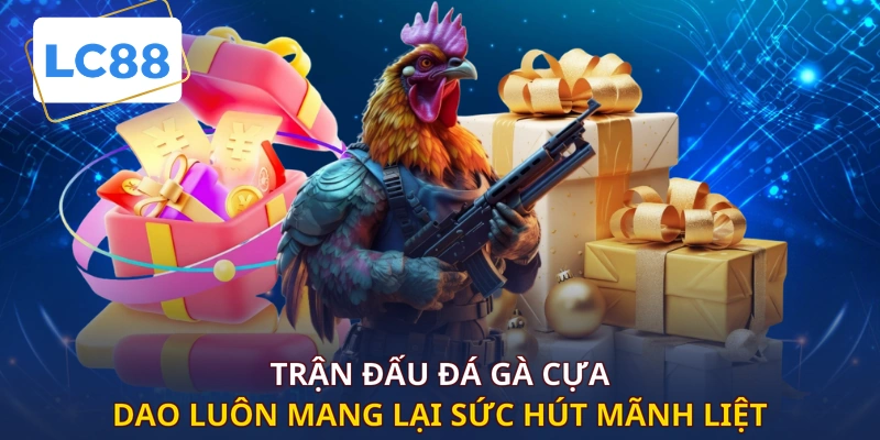 Trận đấu đá gà cựa dao luôn mang lại sức hút mãnh liệt